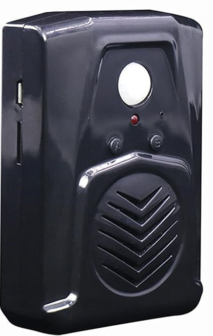 Infrared Motion Sensor Activated Sound