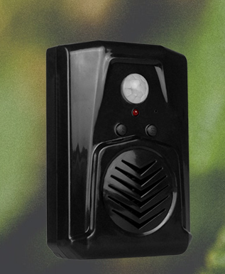 Infrared Motion Sensor Activated Sound