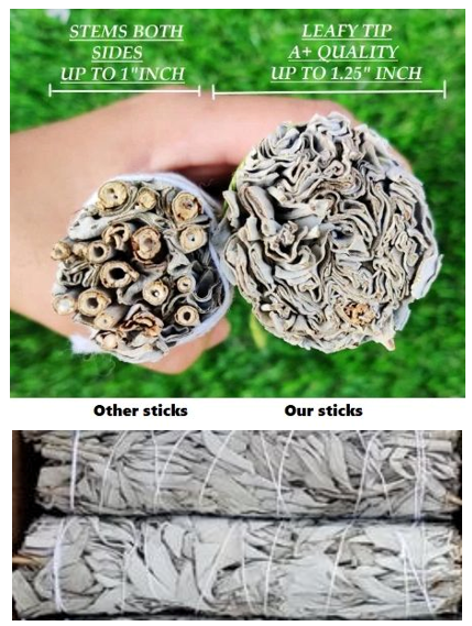 Organic California White Sage Smudge Sticks (TWO PACK)